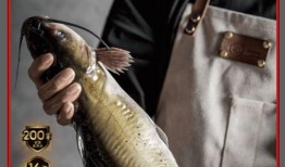 fil神鱼喊单最新爆料,揭秘加密货币市场动向