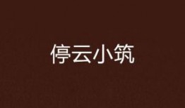 停云最新爆料,揭秘娱乐圈惊天秘密